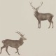 Sanderson | Evesham Deer