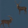 Sanderson | Evesham Deer