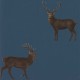 Sanderson | Evesham Deer