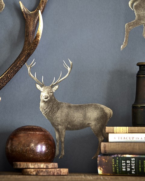 Sanderson | Evesham Deer