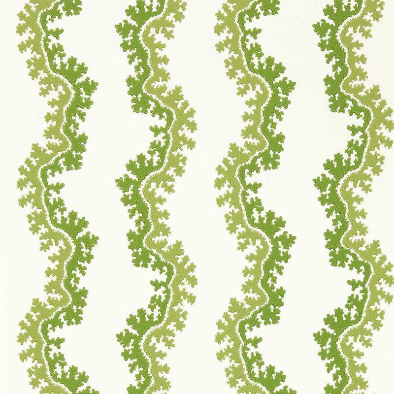 Sanderson | Oxbow