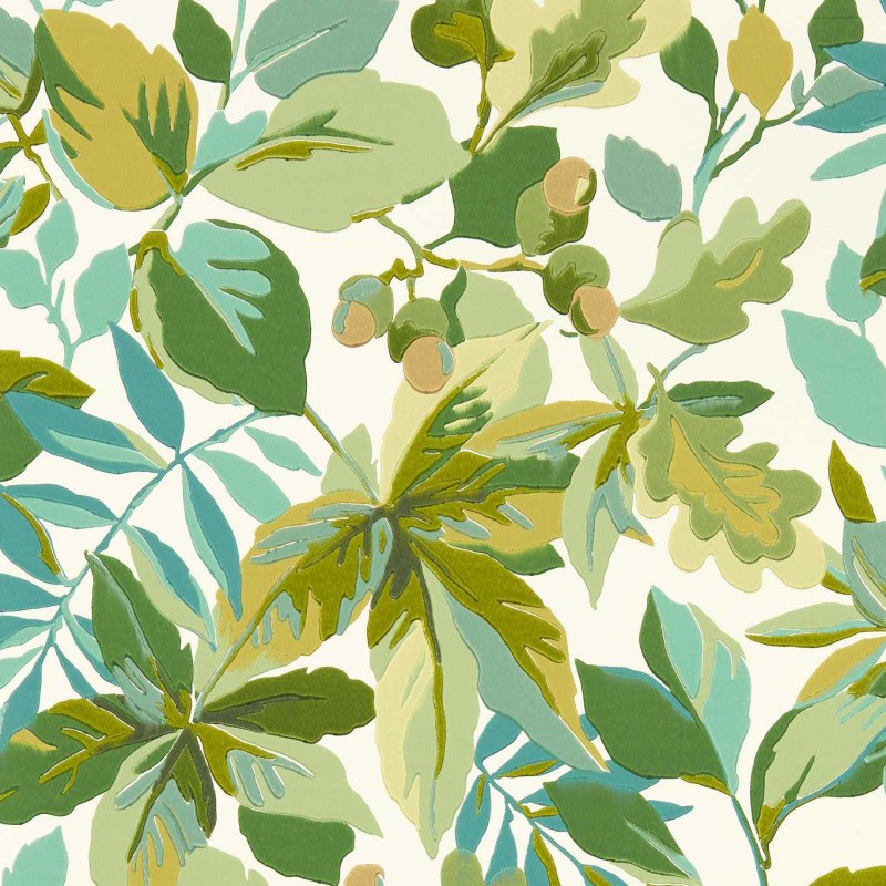 Sanderson | Robin's Wood