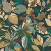 Sanderson | Robin's Wood