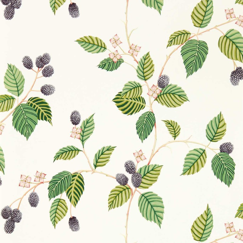 Sanderson | Rubus
