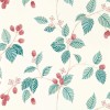 Sanderson | Rubus