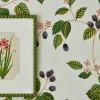 Sanderson | Rubus