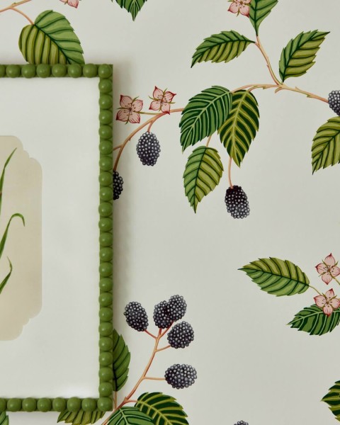 Sanderson | Rubus