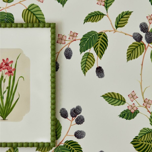 Sanderson | Rubus