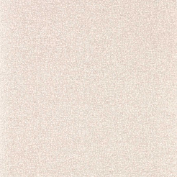 Sanderson | Sessile Plain
