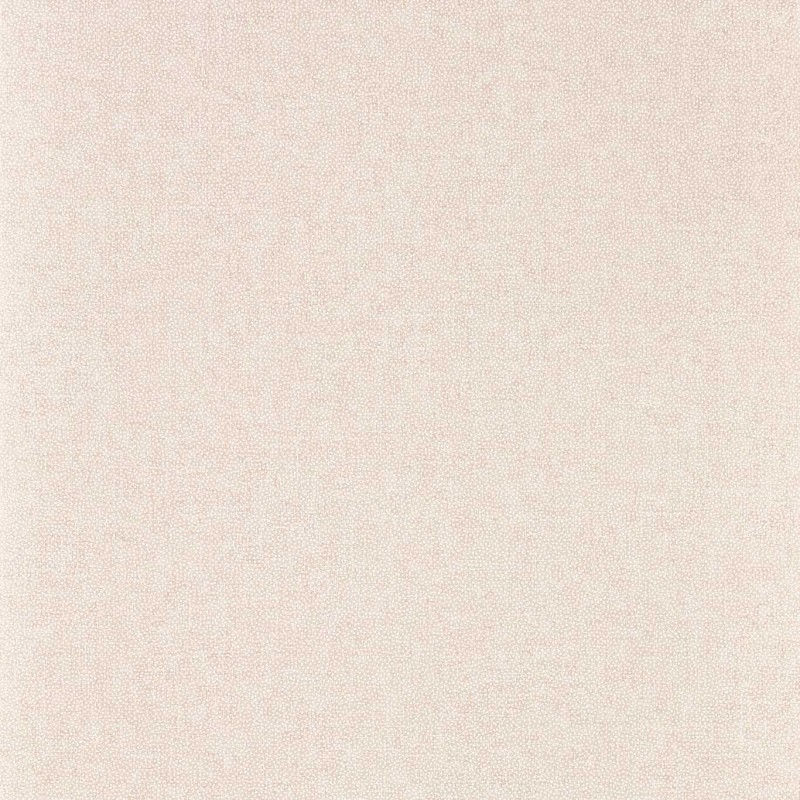 Sanderson | Sessile Plain