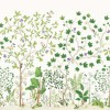 Sanderson | Sycamore and Oak
