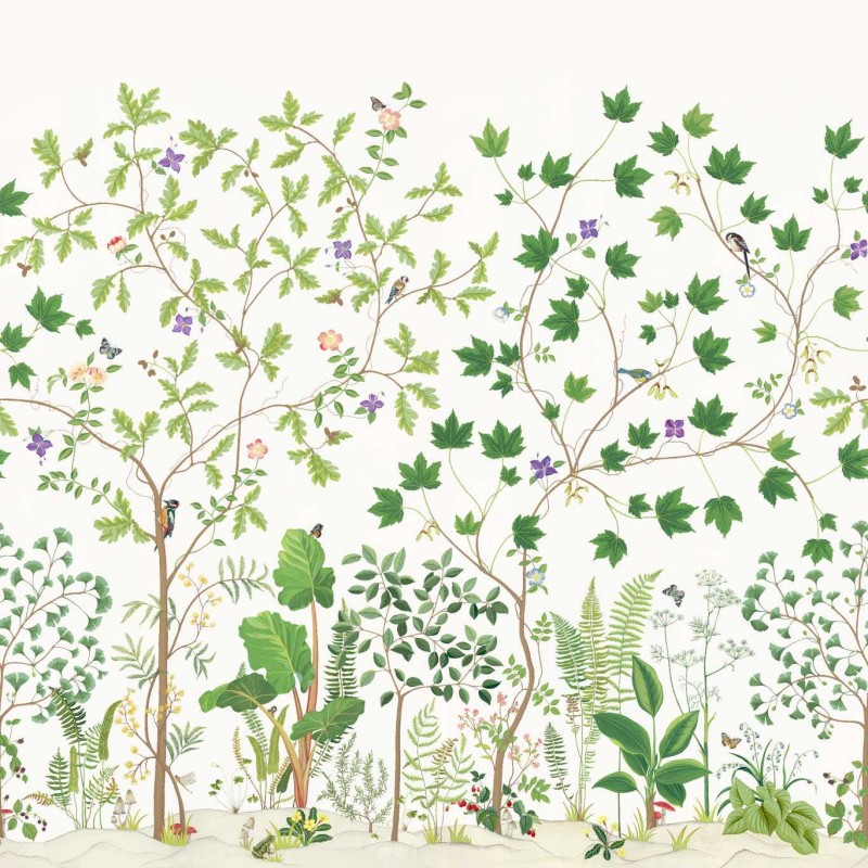 Sanderson | Sycamore and Oak