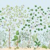 Sanderson | Sycamore and Oak