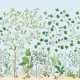 Sanderson | Sycamore and Oak