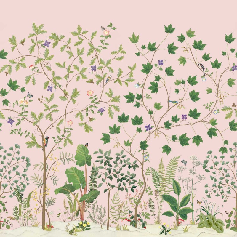 Sanderson | Sycamore and Oak