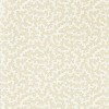Sanderson | Truffle