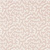 Sanderson | Truffle