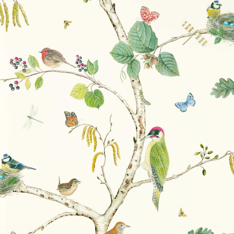 Sanderson | Woodland Chorus