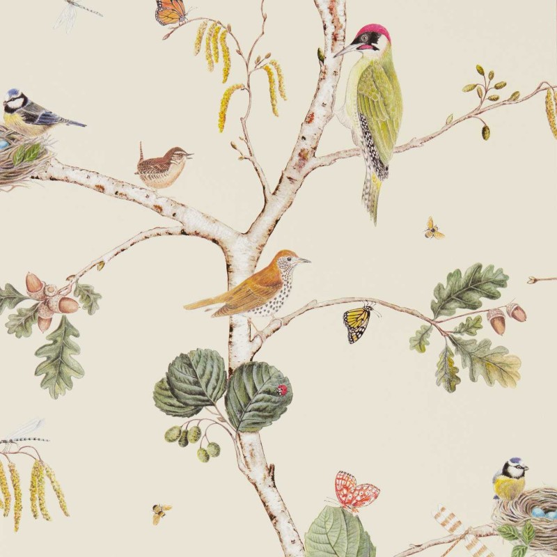 Sanderson | Woodland Chorus