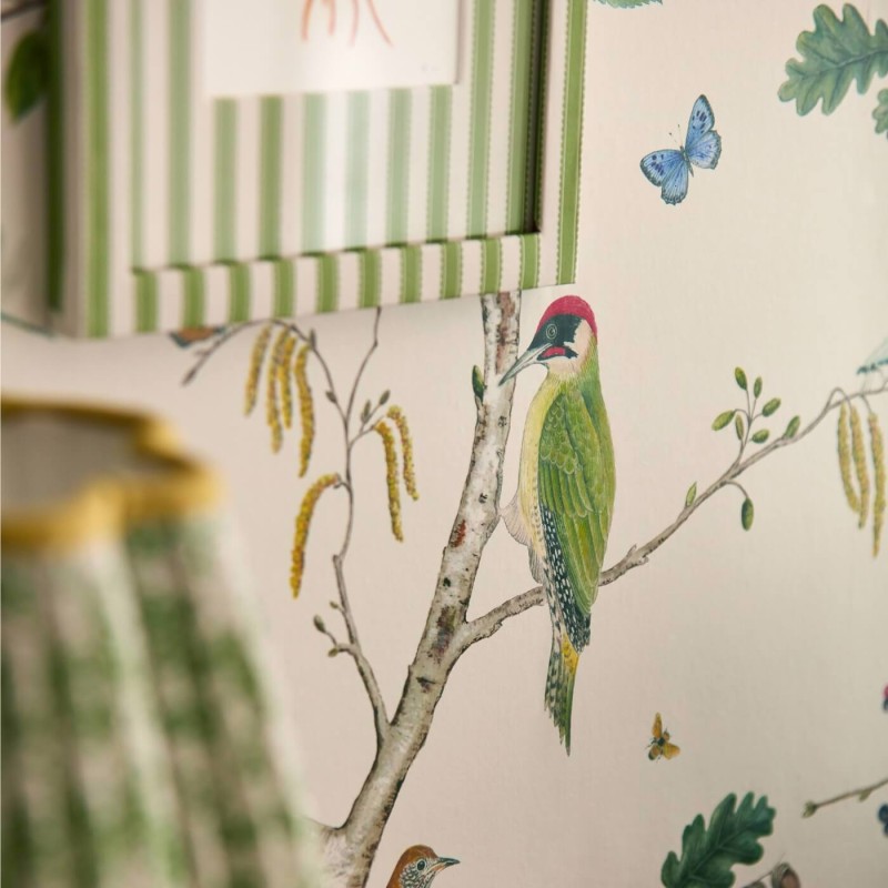 Sanderson | Woodland Chorus
