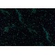 Sangetsu | FE76863