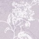 Sangetsu | FE76782