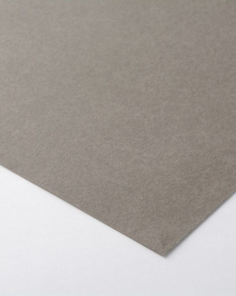 Sangetsu / Plain Beige FE76139