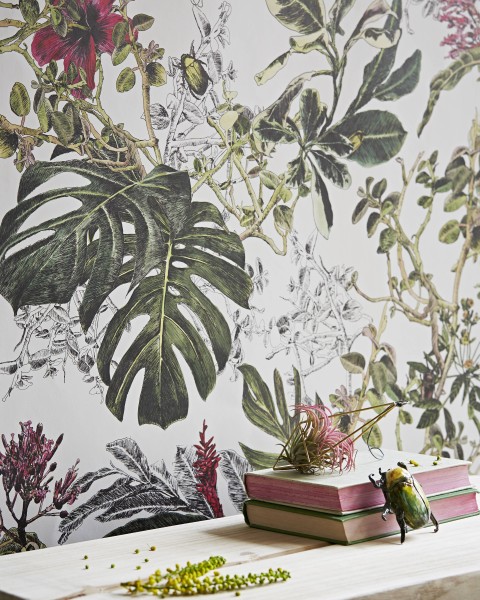 Summer Tropical Bloom | Sian Zeng