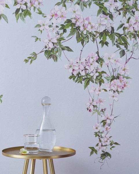 Classic Clematis Blue | Sian Zeng