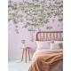 Classic Clematis Pink | Sian Zeng