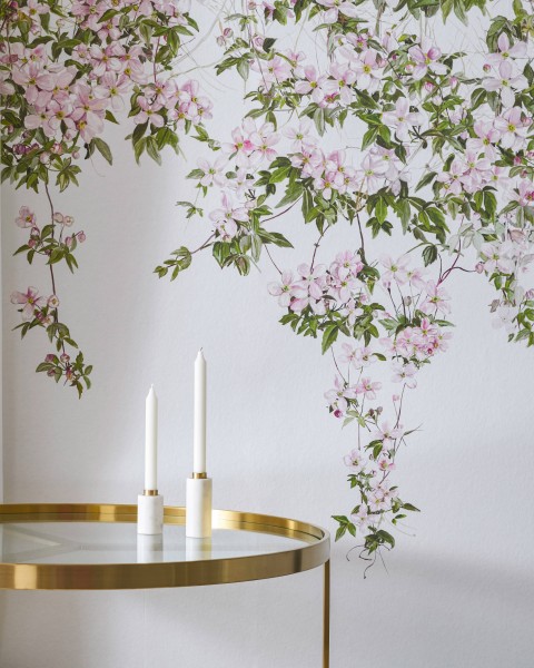 Classic Clematis Pink | Sian Zeng