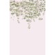 Classic Clematis Pink | Sian Zeng