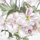 Classic Clematis Blue | Sian Zeng