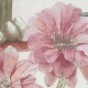 Classic Desert Pink Sand | Sian Zeng