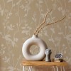 Feather Plant | Sian Zeng