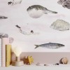 Fish Pink | Sian Zeng