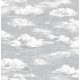 Classic Clouds | Sian Zeng