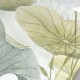 Classic Swan Lake Green | Sian Zeng
