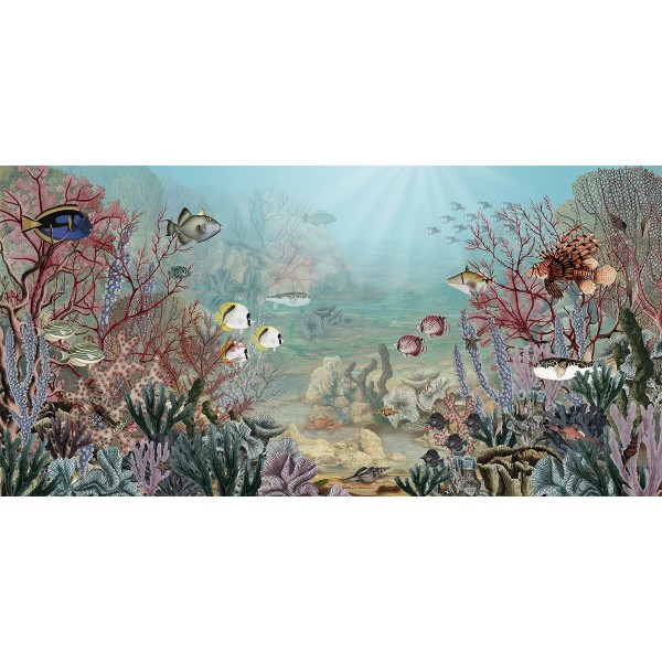 Sir Edward | Coral Creatures