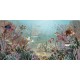 Sir Edward | Coral Creatures