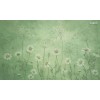 Sir Edward | Dazzling Daisies