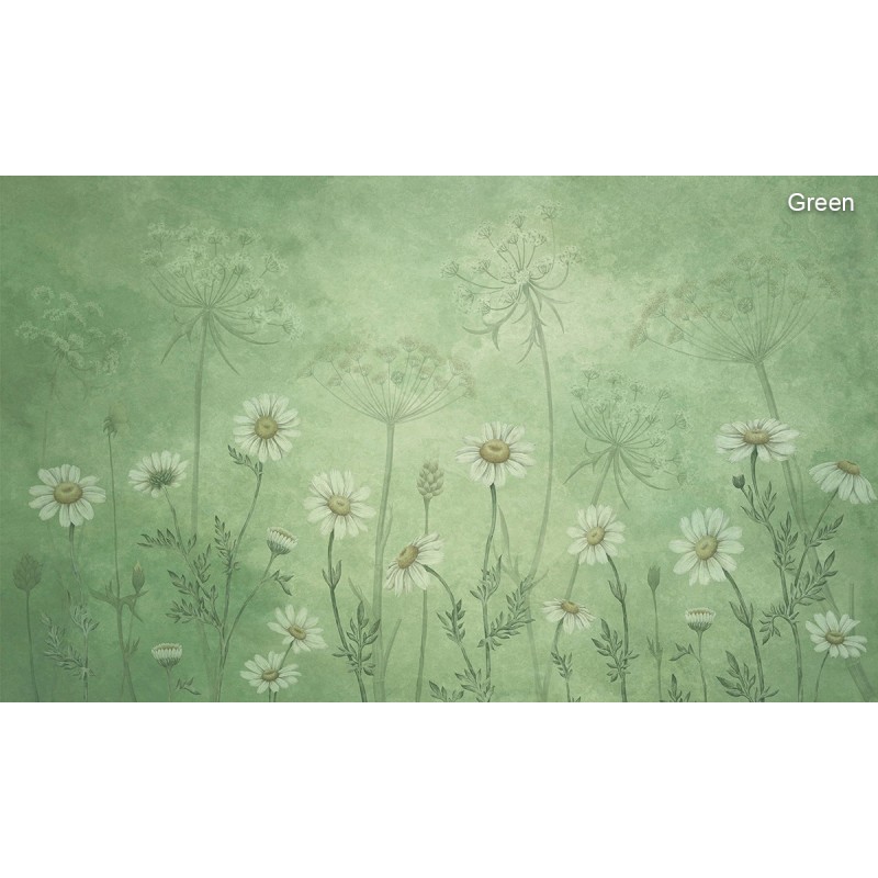Sir Edward | Dazzling Daisies