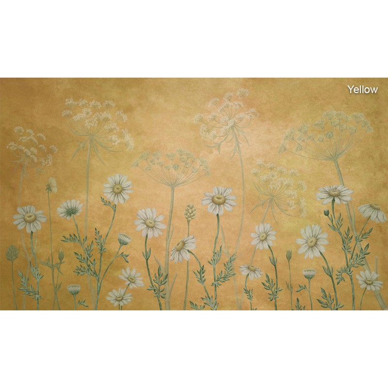 Sir Edward | Dazzling Daisies