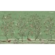 Sir Edward | Lemon Tree Chinoiserie