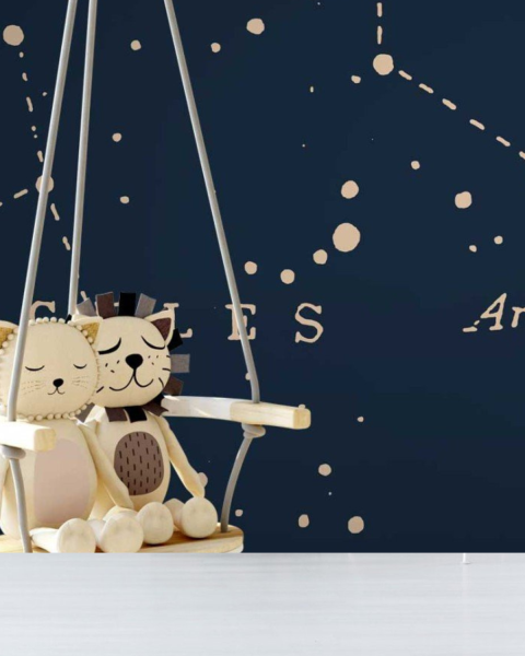 Great Bear Little Lion - I | FE04101