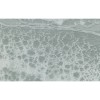 Texam | Reale | Belvedere