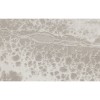 Texam | Reale | Belvedere