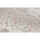 Texam | Reale | Belvedere