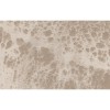 Texam | Reale | Belvedere