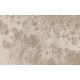 Texam | Reale | Belvedere